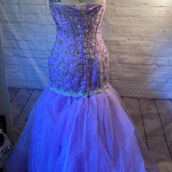 💜 Prom/Formal Gown - Picture 9 of 17